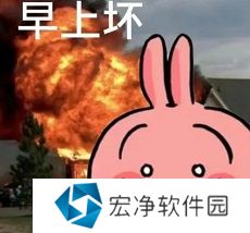 Chiikawa表情包有哪些 吉伊卡哇表情包大全